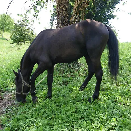 Valbella 3* Marostica