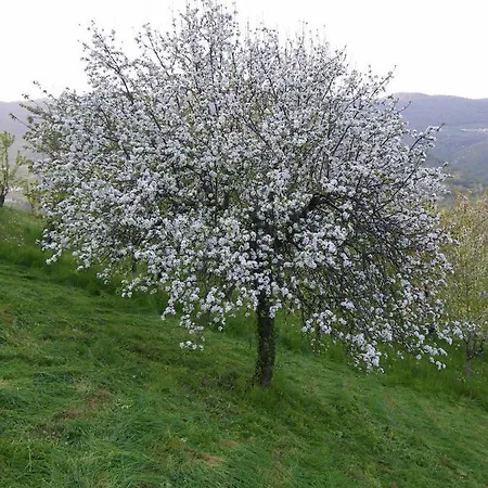 Valbella فندق 3*