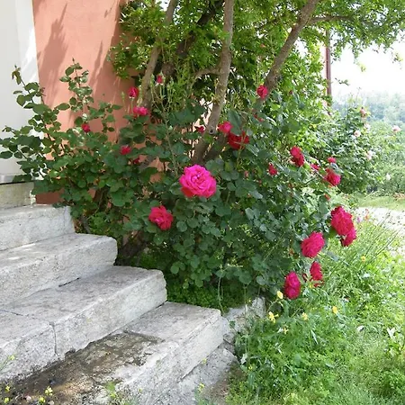 فندق Valbella